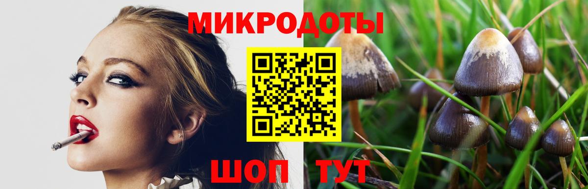 Галлюциногенные грибы Magic Shrooms Рузаевка